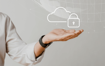 Work in the U.S.: What Service Businesses Needs to Know About Zdo and Data Privacy